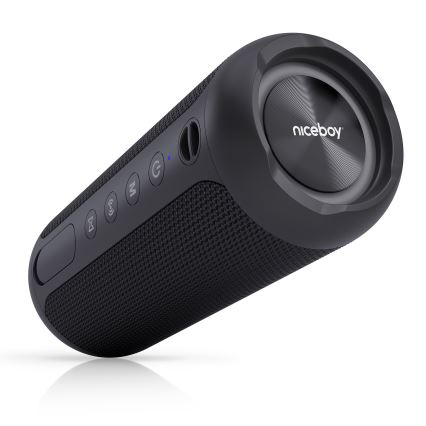 Niceboy Polaris - Enceinte sans fil LED avec un micro 30W/2000 mAh IPX7 noir