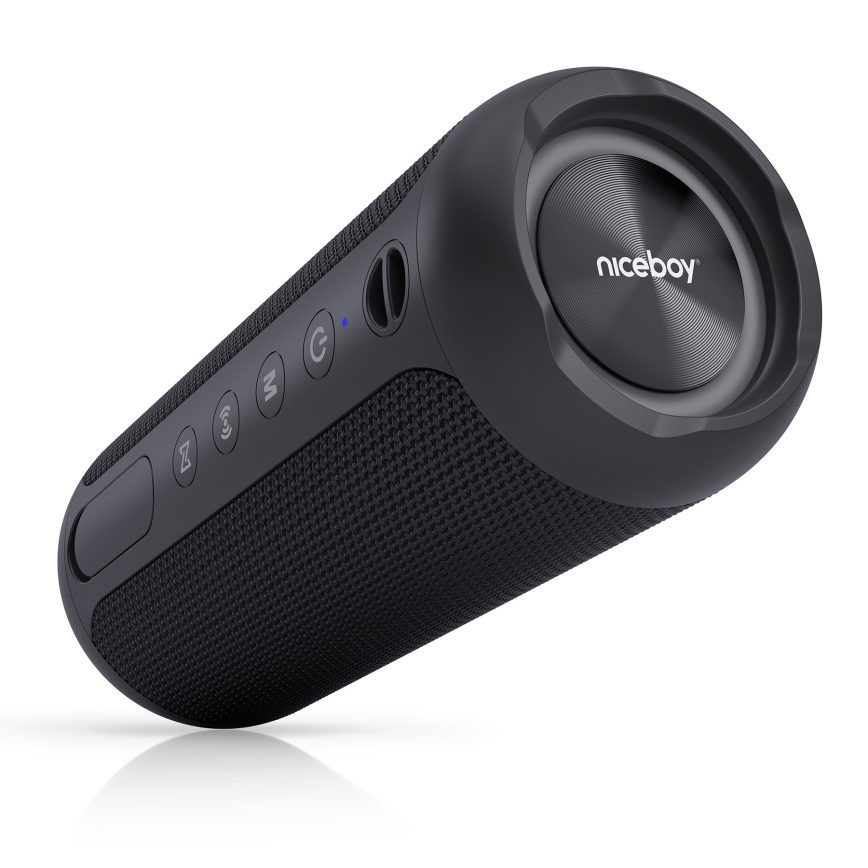 Niceboy Polaris - Enceinte sans fil LED avec un micro 30W/2000 mAh IPX7 noir