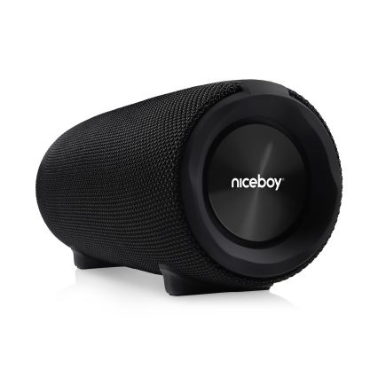 Niceboy Titan 4 - Enceinte sans fil LED avec un micro et fonction batterie portative 50W/4000 mAh IPX7 noir