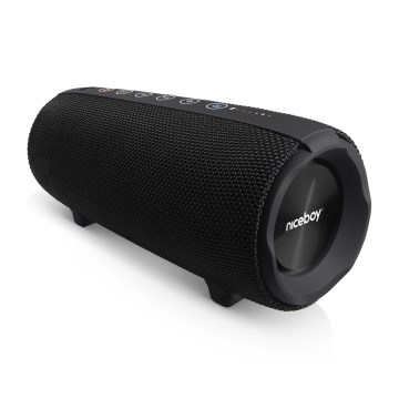 Niceboy Titan 4 - Enceinte sans fil LED avec un micro et fonction batterie portative 50W/4000 mAh IPX7 noir