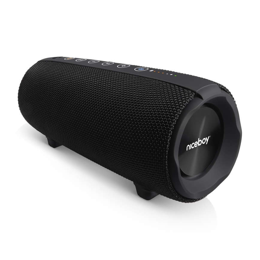 Niceboy Titan 4 - Enceinte sans fil LED avec un micro et fonction batterie portative 50W/4000 mAh IPX7 noir