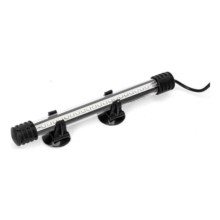 Nobleza - Éclairage d'aquarium LED/1W/230V IPX7 20 cm
