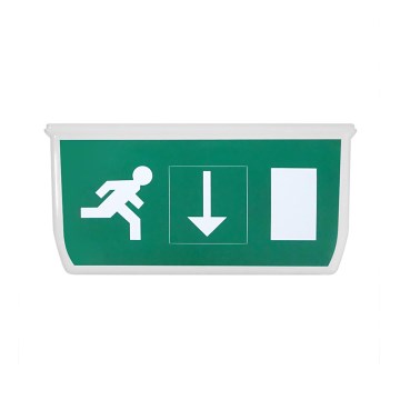 Nooduitgang bordje voor noodverlichting ELLEN CARLA + 2x pictogram