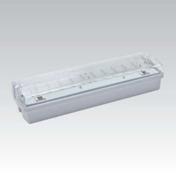 Noodverlichting CARLA LED LED/5,51W/230V IP65