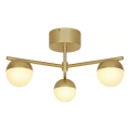 Nordlux - Bevestigde hanglamp CONTINA 3xG9/5W/230V messing