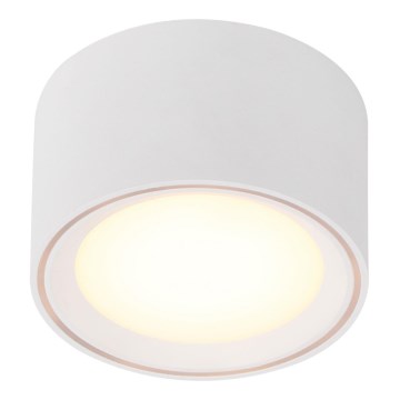 Nordlux - dimbare LED-spot FALLON LED/5,5W/230V wit