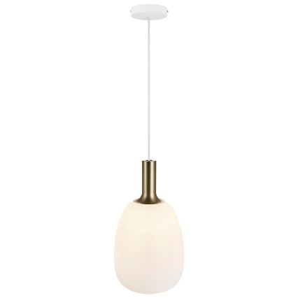 Nordlux - Hanglamp aan een koord ALTON 1xE27/60W/230V wit/zwart/messing