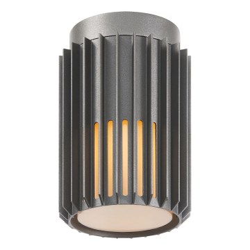 Nordlux - Plafondlamp voor buiten ALUDRA 1xE27/15W/230V antraciet