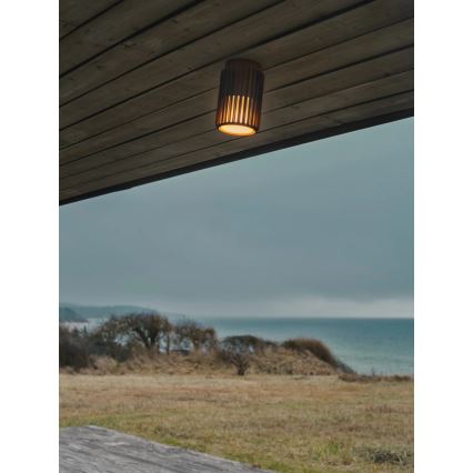 Nordlux - Plafondlamp voor buiten ALUDRA 1xE27/15W/230V bruin