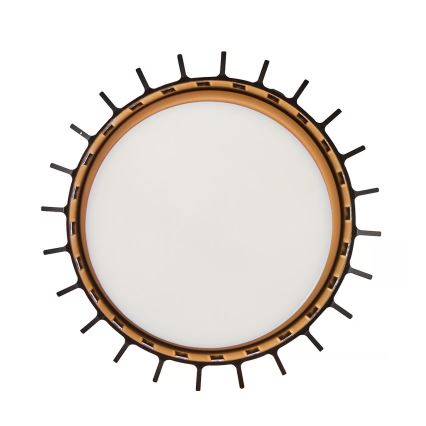 Nordlux - Plafondlamp voor buiten ALUDRA 1xE27/15W/230V zwart