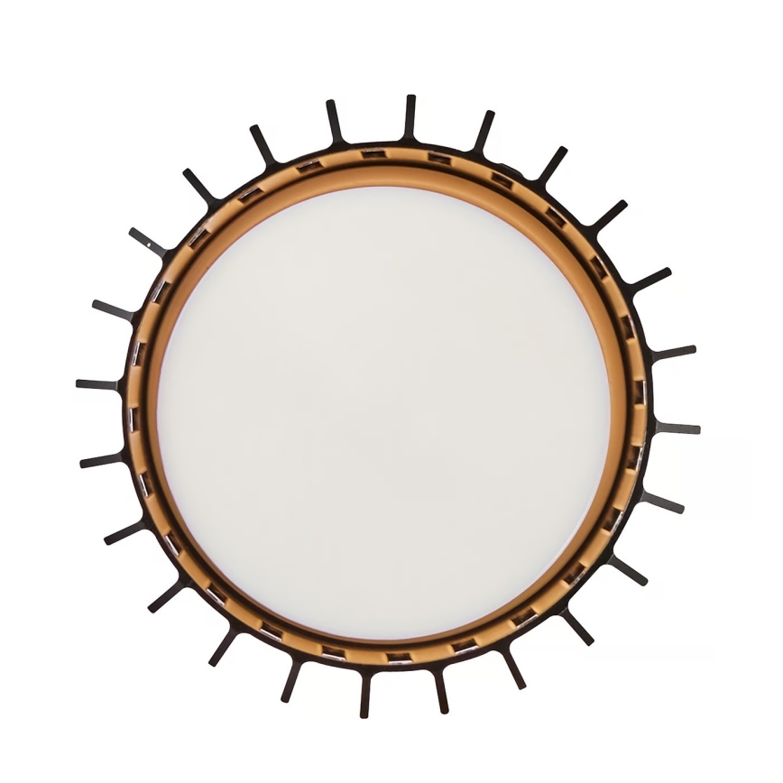 Nordlux - Plafondlamp voor buiten ALUDRA 1xE27/15W/230V zwart