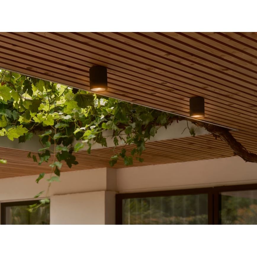 Nordlux - Plafondlamp voor buiten KYKLOP 1xGU10/15W/230V IP54 zwart