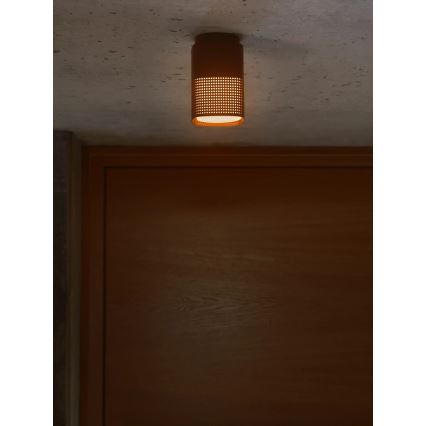 Nordlux - Plafonnier d'extérieur SIDARA 1xE27/15W/230V IP54 marron