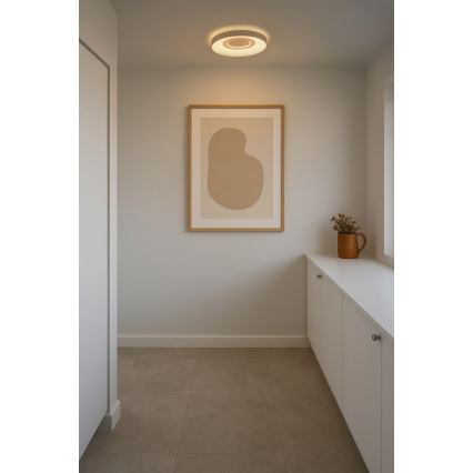 Nordlux - Plafonnier LED dimmable HALYNA LED/24W/230V 2700/3000/4000K Ø 39,5 cm