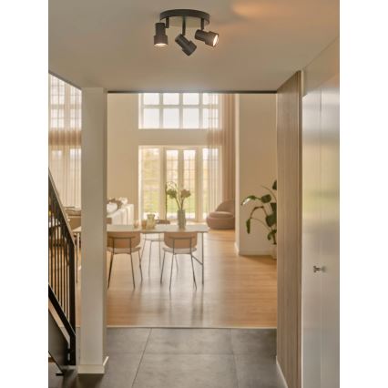 Nordlux - Spot BOSTON 3xGU10/5W/230V