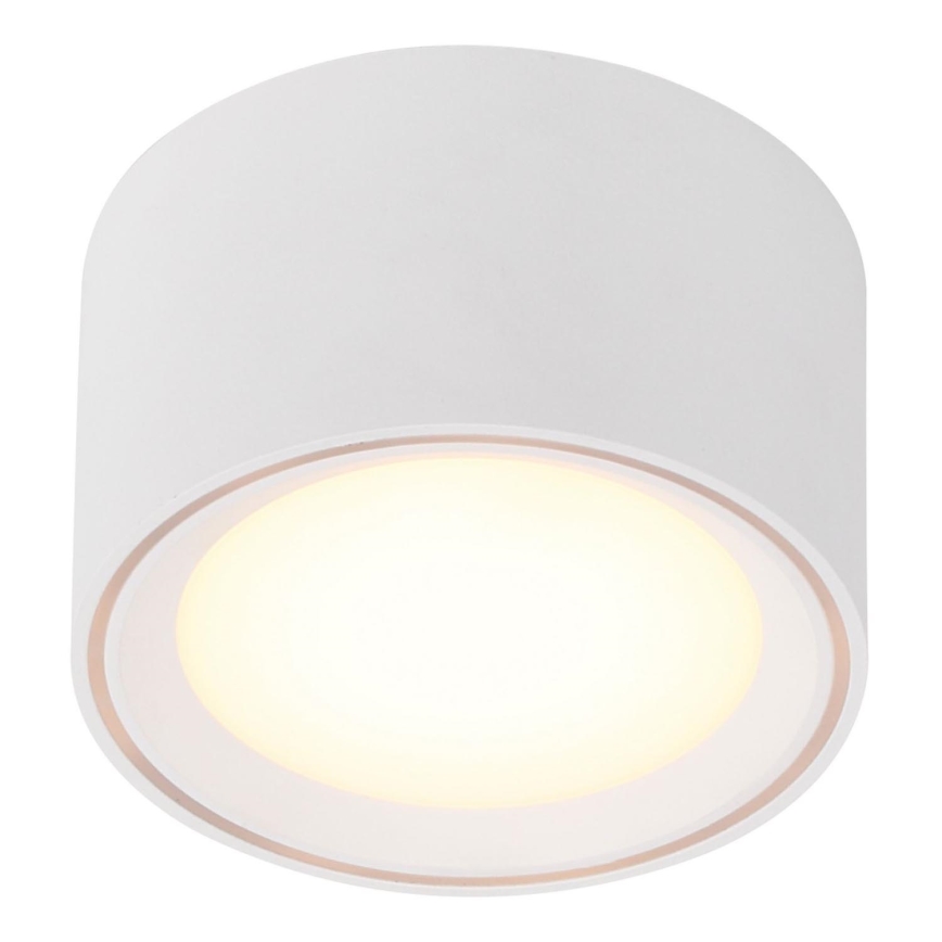 Nordlux - Spot LED dimmable FALLON LED/5,5W/230V blanc