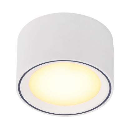 Nordlux - Spot LED dimmable FALLON LED/5,5W/230V blanc