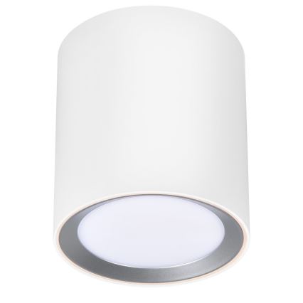 Nordlux - Spot LED dimmable pour salle de bains LANDON LED/6,5 W/230 V IP44 blanc