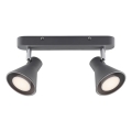 Nordlux - Spotlamp EIK 2xGU10/35W/230V grijs