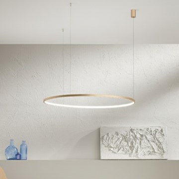 Ondaluce - Dimbare LED-hanglamp aan kabel SOEL LED/38W/230V Ø 80 cm, goudkleurig