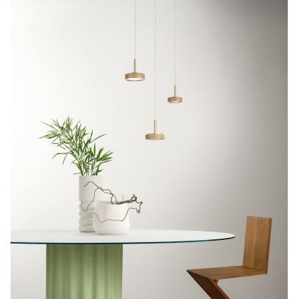 Ondaluce - LED-hanglamp aan kabel NINA LED/20W/230V Ø 19 cm goudkleurig