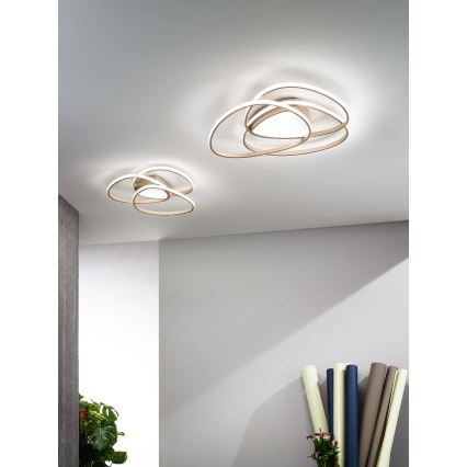 Ondaluce - Plafonnier LED dimmable ROSE LED/70W/230V 63x67 cm doré
