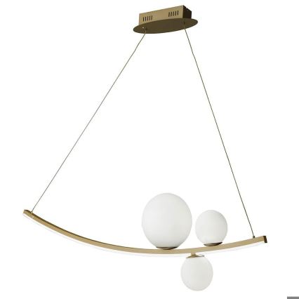 Ondaluce - Suspension LED dimmable sur câble ALTALENA LED/48W/230V dorée