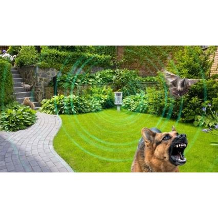 Ongewenste dierenverjager met bewegingssensor 1x9V 6LR61