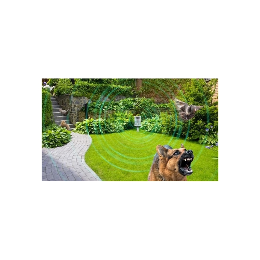Ongewenste dierenverjager met bewegingssensor 1x9V 6LR61