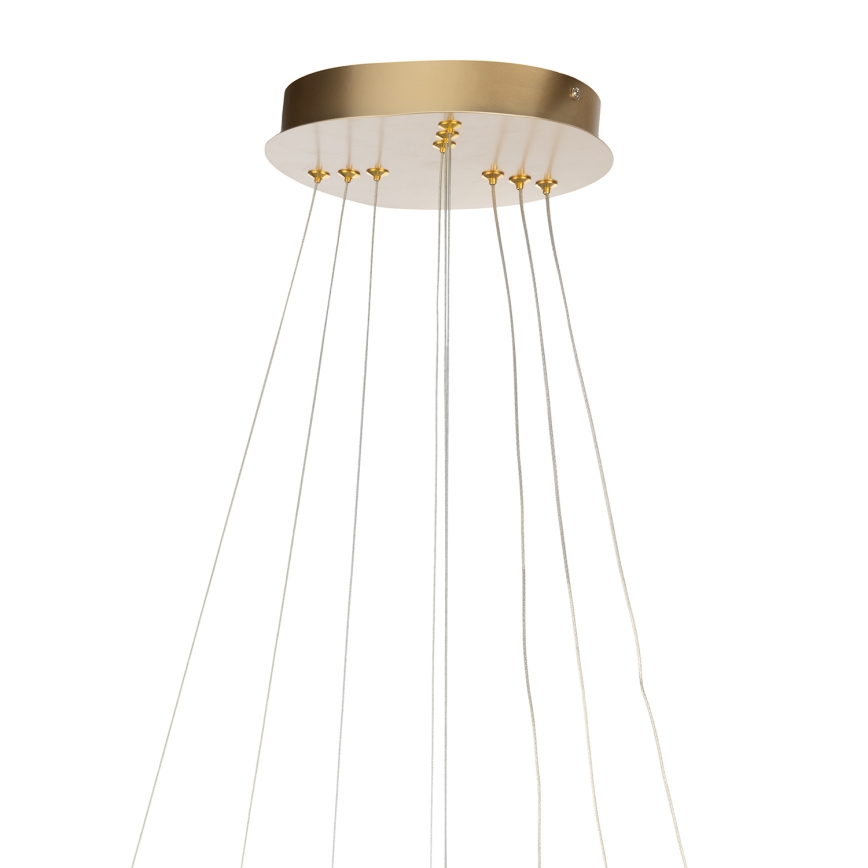 ONLI - LED-hanglamp aan kabel NOELIA LED/40W/230V goud