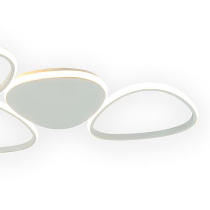 ONLI - LED Plafondlamp ROMEO LED/48W/230V 4000K wit