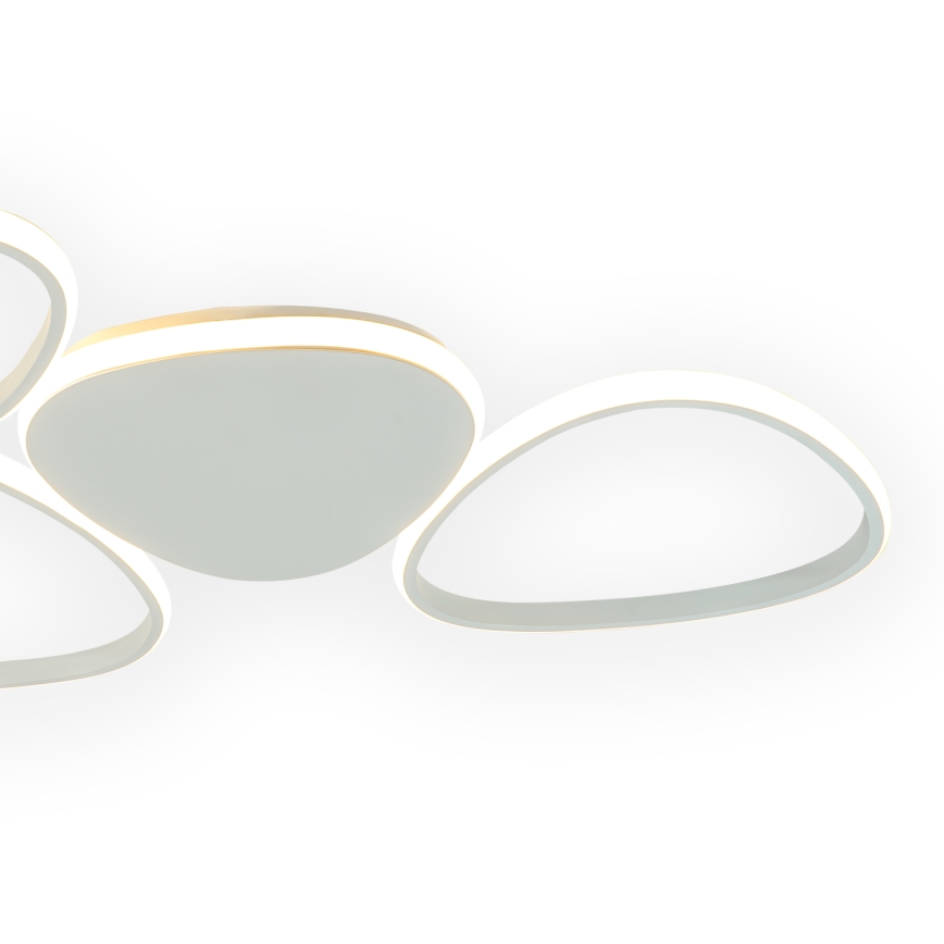 ONLI - LED Plafondlamp ROMEO LED/48W/230V 4000K wit