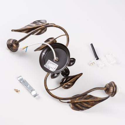 ONLI - Plafonnier MIRANDA 2xE14/6W/230V