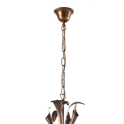 ONLI - Suspension chaîne LUCREZIA 5xE14/6W/230V bronze