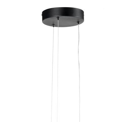 ONLI - Suspension filaire DAFNE LED/30W/230W 4000K noir