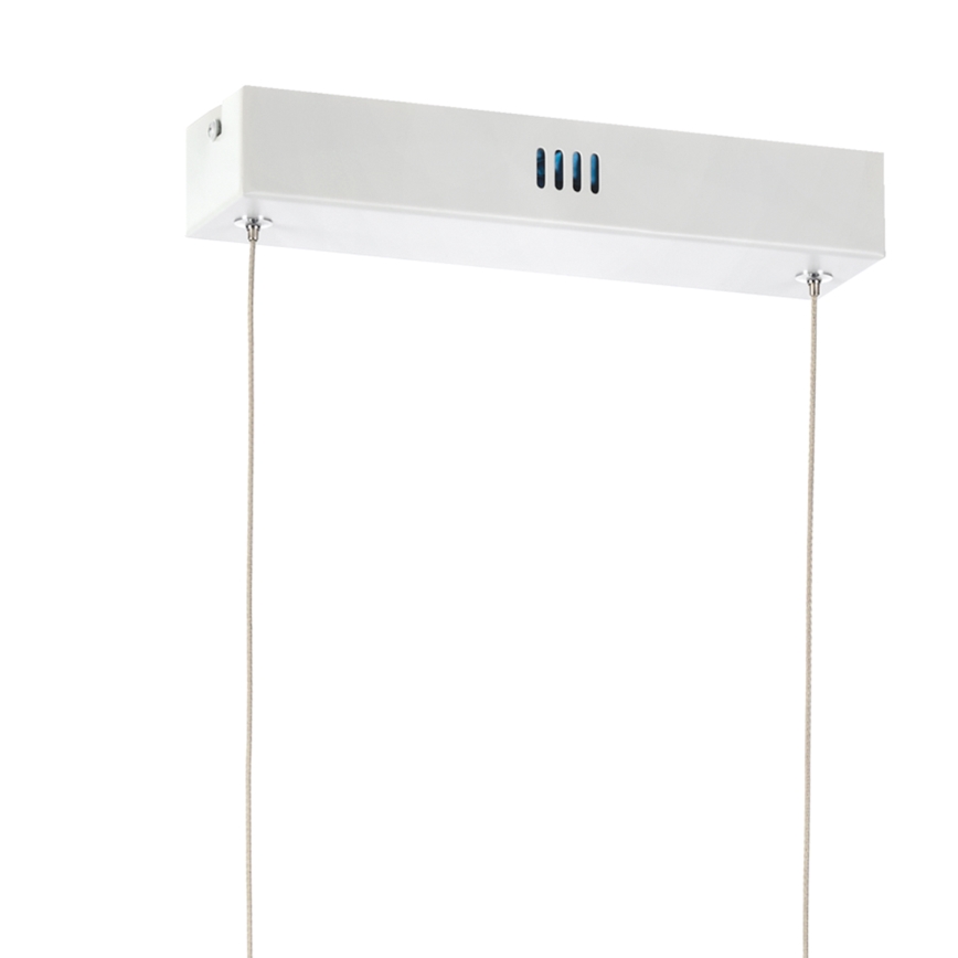 ONLI - Suspension filaire SQUID LED/60W/230V 4000K blanc