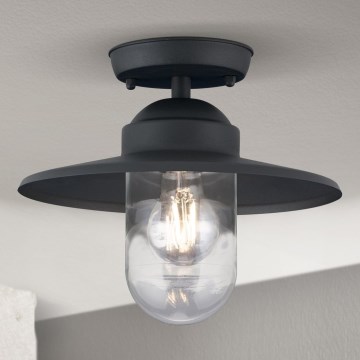 Opbouwlamp voor buiten EDWARD 1xE27/60W/230V IP44 antraciet