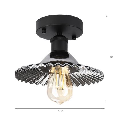 Opbouwplafondlamp TRISH 1xE27/15W/230V zwart/rookzwart