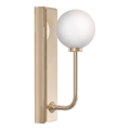 Open Design OR85617 - Badkamerwandlamp ERO 1xG9/9W/230V IP44 roségoud