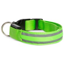 Oplaadbare LED Honden Halsband 35-43 cm 1xCR2032/5V/40 mAh groen
