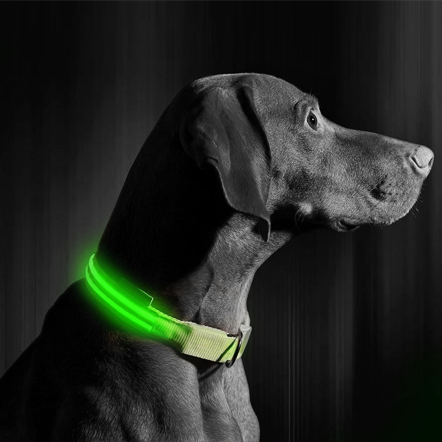 Oplaadbare LED Honden Halsband 35-43 cm 1xCR2032/5V/40 mAh groen