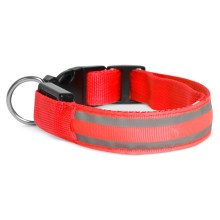 Oplaadbare LED Honden Halsband 35-43 cm 1xCR2032/5V/40 mAh rood