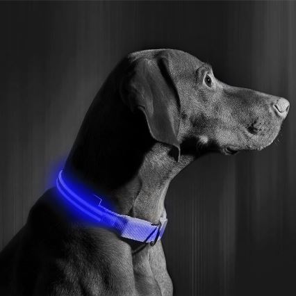 Oplaadbare LED Honden Halsband 40-48 cm 1xCR2032/5V/40 mAh blauw