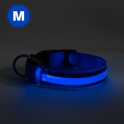 Oplaadbare LED Honden Halsband 40-48 cm 1xCR2032/5V/40 mAh blauw