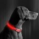 Oplaadbare LED Honden Halsband 40-48 cm 1xCR2032/5V/40 mAh rood