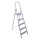 Opvouwbare trapladder 5 treden 180x51 cm