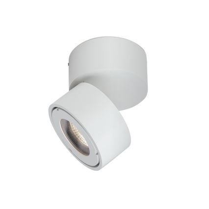 LED Dimbaar badkamer Spot HARVEY LED/15W/230V IP65 wit