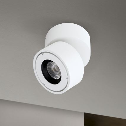 LED Dimbaar badkamer Spot HARVEY LED/15W/230V IP65 wit