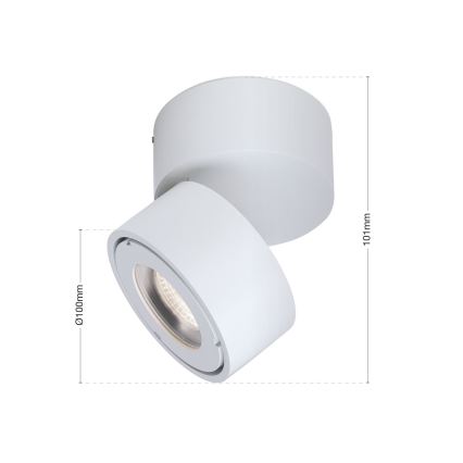 LED Dimbaar badkamer Spot HARVEY LED/15W/230V IP65 wit
