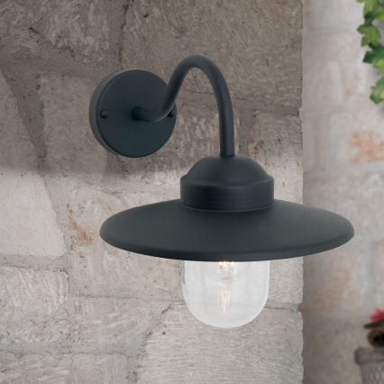 Buiten wandlamp EDWARD 1xE27/60W/230V IP44 zwart
